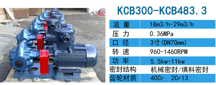 KCB齒輪油泵防爆整機 KCB齒輪油泵防爆整機